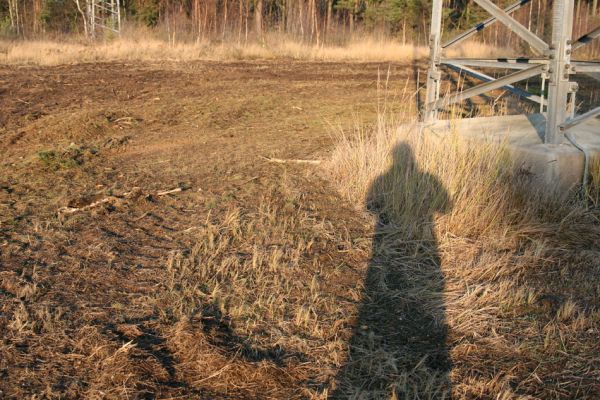 Čeperka, 2.12.2009
Vyfrézovaná plocha pod elektrickou přenosovou soustavou.
Klíčová slova: Čeperka plochaB