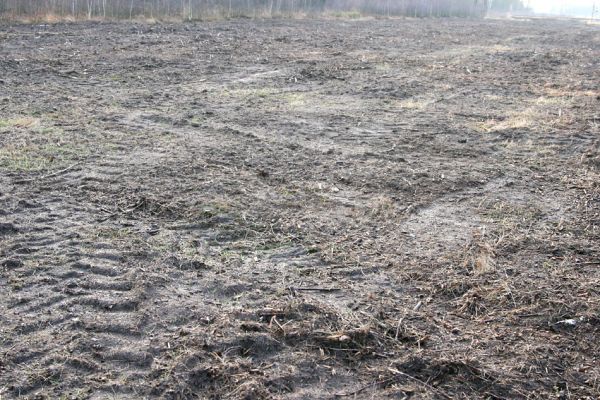 Čeperka, 2.12.2009
Frézovaná plocha (ve střední části) pod elektrickou přenosovou soustavou. Lokalita chroustka Anosoplia villosa. Frézování probíhalo s úrovní země.
Keywords: Čeperka plochaE