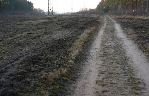 Čeperka, 2.12.2009
Písčitá cesta na vyfrézované ploše pod elektrickou přenosovou soustavou (ve východní části). Frézováním se obnažily četné plochy volného písku.
Klíčová slova: Čeperka plochaF