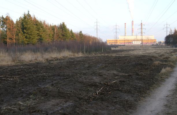 Čeperka, 2.12.2009
Písčitá cesta na vyfrézované ploše pod elektrickou přenosovou soustavou (ve východní části). Frézováním se obnažily četné plochy volného písku.
Schlüsselwörter: Čeperka plochaF Opatovická elektrárna