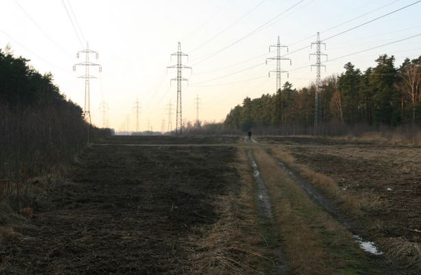 Čeperka, 2.12.2009
Cesta na vyfrézované ploše pod elektrickou přenosovou soustavou (ve východní části). Pohled k západu.
Klíčová slova: Čeperka plochaF