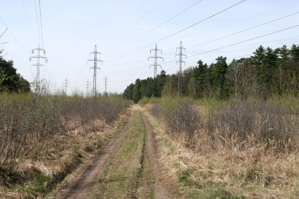 Čeperka, 9.4.2009
Cesta pod elektrickou přenosovou soustavou. Pohled od Opatovické elektrárny.
Klíčová slova: Čeperka plochaD