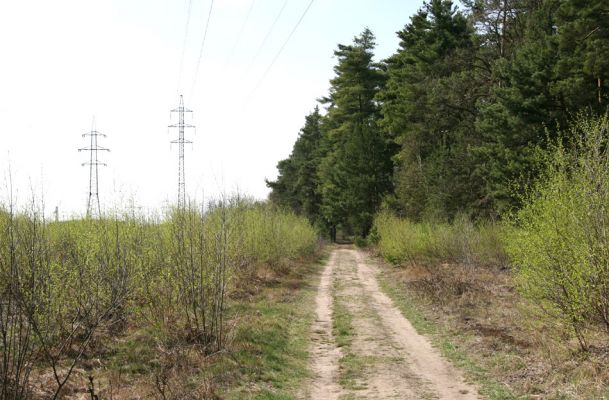 Čeperka, 9.4.2009
Písčitá cesta pod elektrickou přenosovou soustavou.
Klíčová slova: Čeperka plochaC Cardiophorus nigerrimus ruficollis