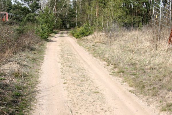 Čeperka, 9.4.2009
Písčitá cesta pod elektrickou přenosovou soustavou.
Klíčová slova: Čeperka plochaB Cardiophorus asellus