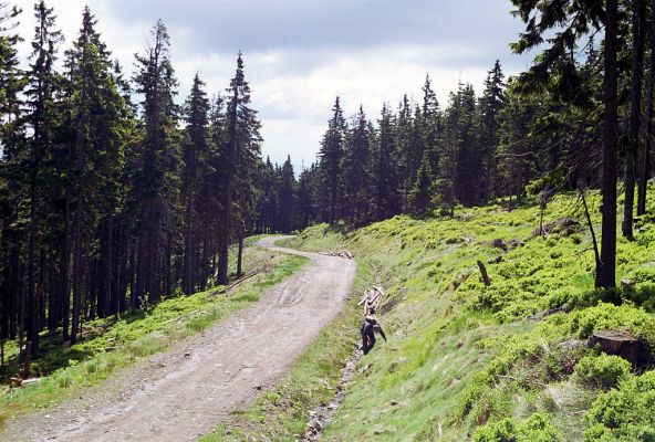Krkonoše, Černá hora, 2.6.2002
Cesta na východním svahu. Biotop kovaříků Ctenicera cuprea, Orithales serraticornis a Pheletes aeneoniger




Klíčová slova: Krkonoše Černá hora Ctenicera cuprea Orithales serraticornis Pheletes aeneoniger Dušan Vacík