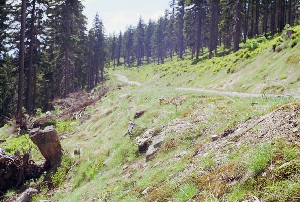 Krkonoše, Černá hora, 2.6.2002
Cesta na východním svahu. Biotop kovaříků Ctenicera cuprea, Orithales serraticornis a Pheletes aeneoniger



Klíčová slova: Krkonoše Černá hora Ctenicera cuprea Orithales serraticornis Pheletes aeneoniger