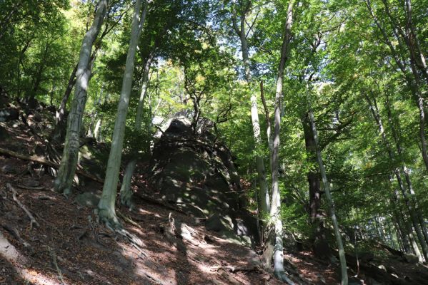 Horní Jiřetín, 10.10.2021
Černice, vrch Kapucín, Poustevnické skály - Liščí skály.
Klíčová slova: Krušné hory Horní Jiřetín Černice vrch Kapucín Poustevnické skály Liščí skály