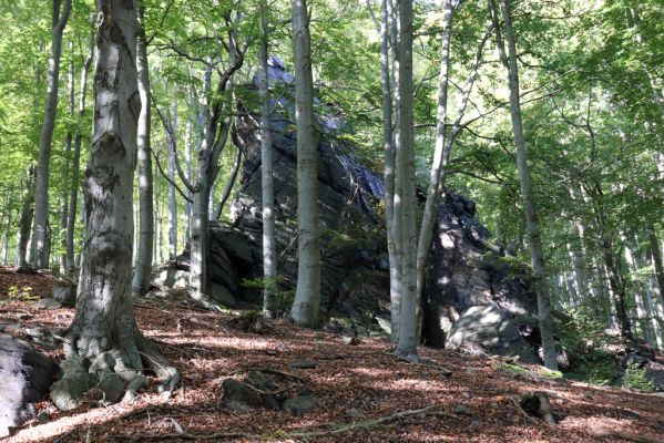 Horní Jiřetín, 10.10.2021
Černice, vrch Kapucín, Sudetský oltář.
Klíčová slova: Krušné hory Horní Jiřetín Černice vrch Kapucín Sudetský oltář