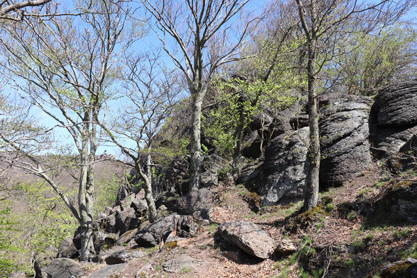 Horní Jiřetín, Černice, 10.5.2021
Černický vrch. Skalní masiv Pevnost Yucatan.
Keywords: Krušné hory Horní Jiřetín Černice Černický vrch Anostirus bohemicus