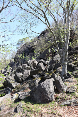 Horní Jiřetín, Černice, 10.5.2021
Černický vrch. Skalní masiv Pevnost Yucatan.
Keywords: Krušné hory Horní Jiřetín Černice Černický vrch Anostirus bohemicus