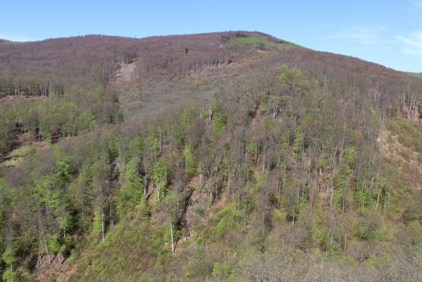 Černice, 10.5.2021
Černický vrch pohled na Josefininu skálu.
Klíčová slova: Krušné hory Horní Jiřetín Černice Černický vrch Josefinina skála