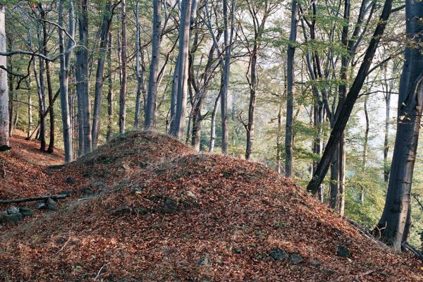 Černice, Alberk, 11.10.2006
Pozůstatky po hradu Alberk.
Klíčová slova: Krušné hory Horní Jiřetín Černice Alberk