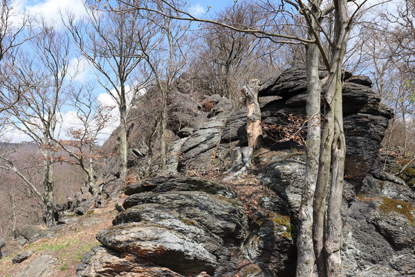 Horní Jiřetín, Černice, 21.4.2021
Černický vrch. Skalní masiv Pevnost Yucatan.
Keywords: Krušné hory Horní Jiřetín Černice Černický vrch Anostirus bohemicus Megapenthes lugens