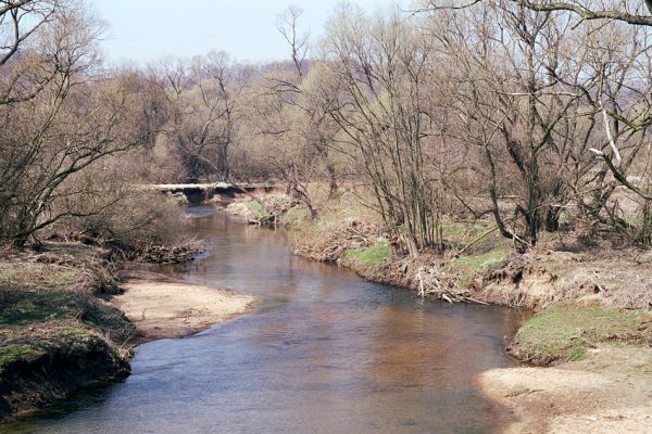 Černousy, rezervace Meandry Smědé, 14.4.2004
Štěrkové a písčité náplavy na březích meandrující říčky. Biotop kovaříků Zorochros dermestoides a Negastrius pulchellus.
Schlüsselwörter: Černousy Meandry Smědé Smědá Zorochros dermestoides Negastrius pulchellus