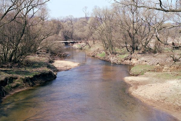 Černousy, rezervace Meandry Smědé, 14.4.2004
Štěrkové a písčité náplavy na březích meandrující říčky. Biotop kovaříků Zorochros dermestoides a Negastrius pulchellus.
Klíčová slova: Černousy Meandry Smědé Smědá Zorochros dermestoides Negastrius pulchellus