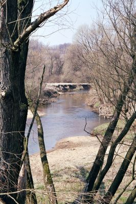 Černousy, rezervace Meandry Smědé, 14.4.2004
Štěrkové a písčité náplavy na březích meandrující říčky. Biotop kovaříků Zorochros dermestoides a Negastrius pulchellus.
Keywords: Černousy Meandry Smědé Smědá Zorochros dermestoides Negastrius pulchellus