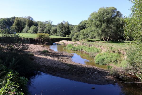 Černousy, 18.9.2020
Meandry Smědé, pastvina.
Klíčová slova: Černousy Smědá meandry pastvina