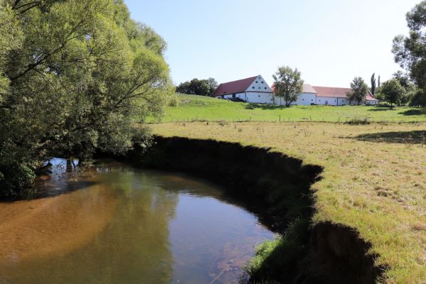 Černousy, Ves, 18.9.2020
Meandry Smědé pod Dvorem Hlaváč.
Klíčová slova: Černousy Ves Dvůr Hlaváč Smědá meandry