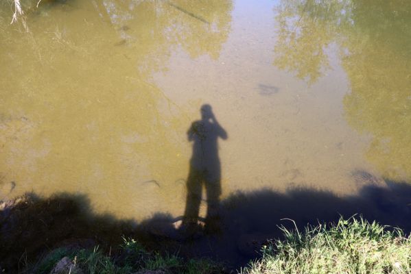 Černousy, Ves, 18.9.2020
Meandry Smědé pod Dvorem Hlaváč.
Klíčová slova: Černousy Ves Dvůr Hlaváč Smědá meandry