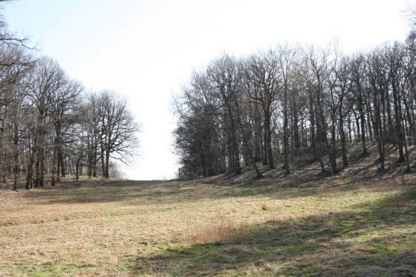 Jirkov, Červený Hrádek, 26.3.2012
Východní okraj obory.
Klíčová slova: Krušné hory Jirkov Červený Hrádek obora