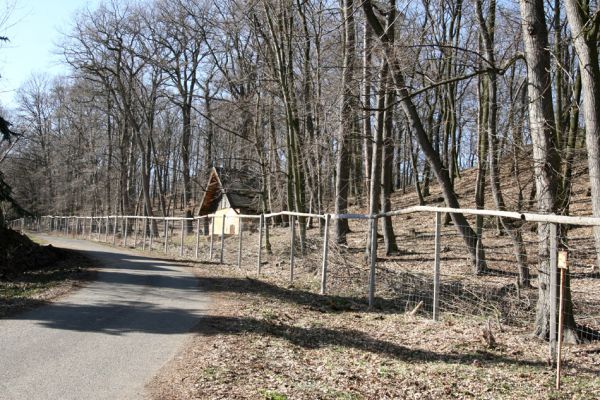 Jirkov, Červený Hrádek, 26.3.2012
Východní část obory.
Klíčová slova: Krušné hory Jirkov Červený Hrádek obora