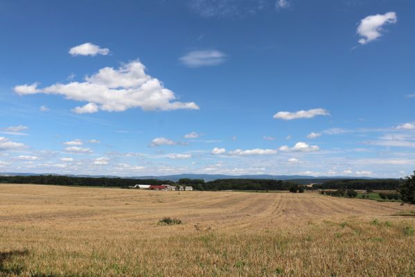 České Meziříčí, 7.8.2021
Pohled na Vranov, Mochov a Orlické hory od polesí Lada.
Klíčová slova: České Meziříčí Vranov Mochov Orlické hory