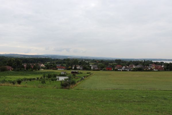 Česká Skalice, 22.7.2021
Nad Pivovarem - pohled na Dobrošov a Orlické hory.
Keywords: Česká Skalice Nad Pivovarem třešňovka Dobrošov Orlické hory