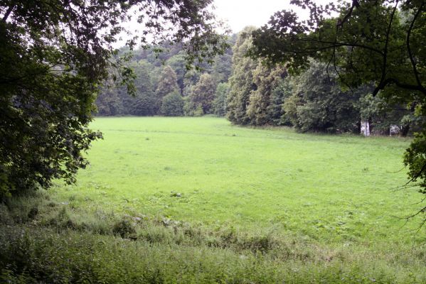 Česká Skalice, 30.6.2015
Záplavové louky u Úpy v jižní části Babiččina údolí. Biotop kovaříka Oedostethus quadripustulatus.



Mots-clés: Česká Skalice Babiččino údolí Oedostethus quadripustulatus