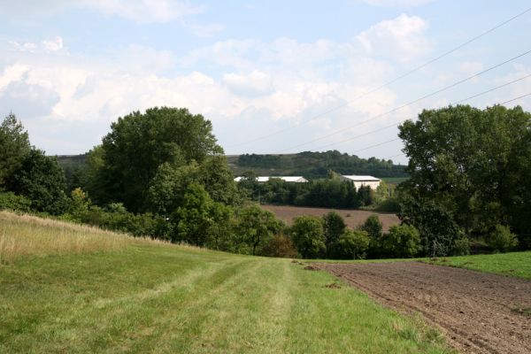 Čestice, 11.9.2008
Podchlumí - step na jihovýchodním okraji vrchu Malý Chlum. Pohled na východ na vrch Strýc.
Klíčová slova: Čestice Podchlumí Strýc step