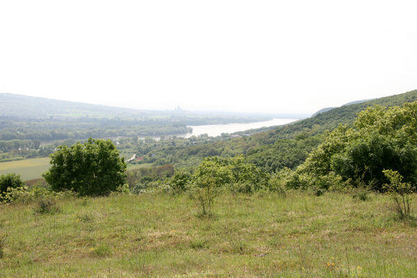 Chľaba, 5.6.2014
Kováčovské kopce - louky nad obcí.
Mots-clés: Chľaba Kováčovské kopce