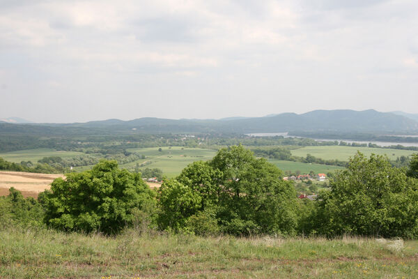 Chľaba, 5.6.2014
Klíčová slova: Chľaba Kováčovské kopce