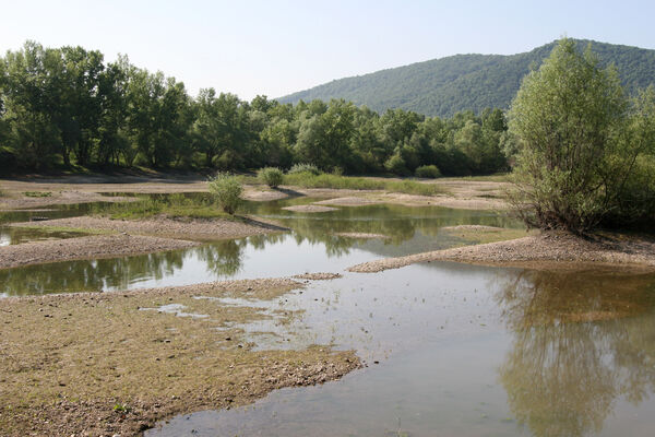 Chľaba, 5.6.2014 
Stará pískovna.
Schlüsselwörter: Chľaba soutok Dunaj Ipeľ