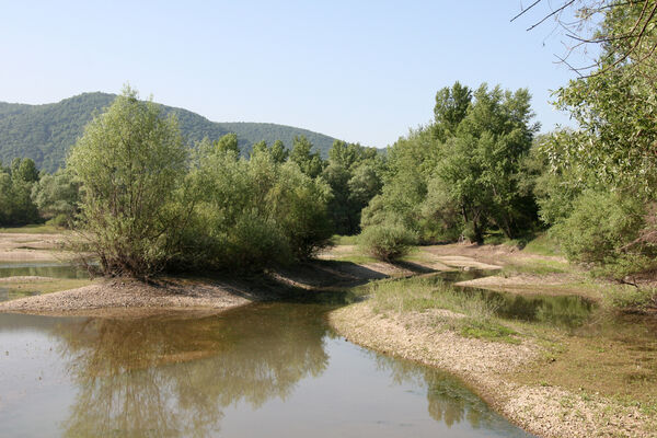 Chľaba, 5.6.2014 
Stará pískovna.
Keywords: Chľaba soutok Dunaj Ipeľ