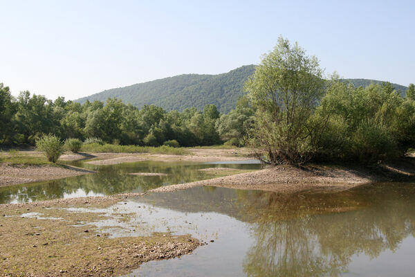 Chľaba, 5.6.2014 
Stará pískovna.
Mots-clés: Chľaba soutok Dunaj Ipeľ