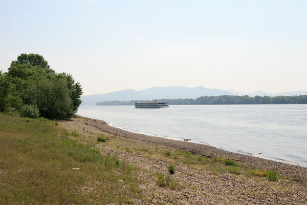 Chľaba, 5.6.2014
Břeh Dunaje před soutokem s Ipľa.
Schlüsselwörter: Chľaba soutok Dunaj Ipeľ