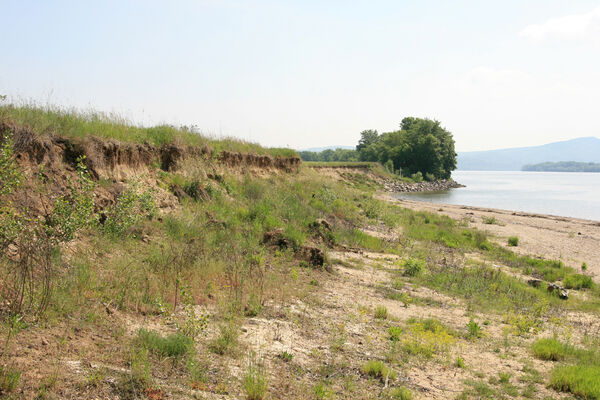 Chľaba, 5.6.2014
Břeh Dunaje před soutokem s Ipľa.
Klíčová slova: Chľaba soutok Dunaj Ipeľ
