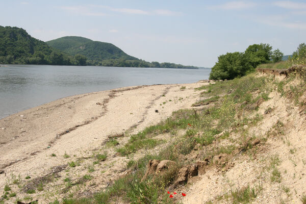 Chľaba, 5.6.2014
Břeh Dunaje před soutokem s Ipľa.
Mots-clés: Chľaba soutok Dunaj Ipeľ