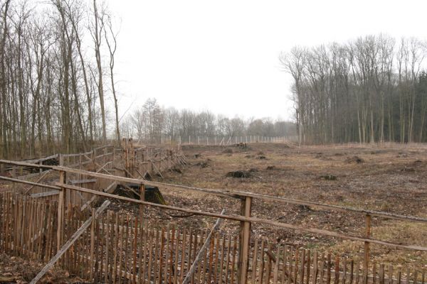 Chlumecká bažantnice, 3.3.2009
Fotoreportáž z likvidace lužního lesa a staré dubové aleje na hrázi podél Cidliny a Mlýnské Bystřice (2008-2009). 
Mots-clés: Chlumec nad Cidlinou Chlumecká bažantnice Luhy