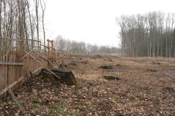 Chlumecká bažantnice, 3.3.2009
Fotoreportáž z likvidace lužního lesa a staré dubové aleje na hrázi podél Cidliny a Mlýnské Bystřice (2008-2009). 
Mots-clés: Chlumec nad Cidlinou Chlumecká bažantnice Luhy