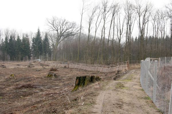 Chlumecká bažantnice, 3.3.2009
Fotoreportáž z likvidace lužního lesa a staré dubové aleje na hrázi podél Cidliny a Mlýnské Bystřice (2008-2009). 
Mots-clés: Chlumec nad Cidlinou Chlumecká bažantnice Luhy