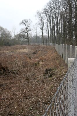 Chlumecká bažantnice, 3.3.2009
Fotoreportáž z likvidace lužního lesa a staré dubové aleje na hrázi podél Cidliny a Mlýnské Bystřice (2008-2009). 
Klíčová slova: Chlumec nad Cidlinou Chlumecká bažantnice Luhy