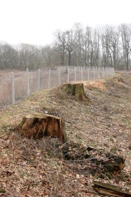 Chlumecká bažantnice, 3.3.2009
Fotoreportáž z likvidace lužního lesa a staré dubové aleje na hrázi podél Cidliny a Mlýnské Bystřice (2008-2009). 
Keywords: Chlumec nad Cidlinou Chlumecká bažantnice Luhy