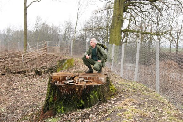 Chlumecká bažantnice, 3.3.2009
Fotoreportáž z likvidace lužního lesa a staré dubové aleje na hrázi podél Cidliny a Mlýnské Bystřice (2008-2009). Autor jako měřítko velikosti zlikvidovaných dubů.
Mots-clés: Chlumec nad Cidlinou Chlumecká bažantnice Luhy