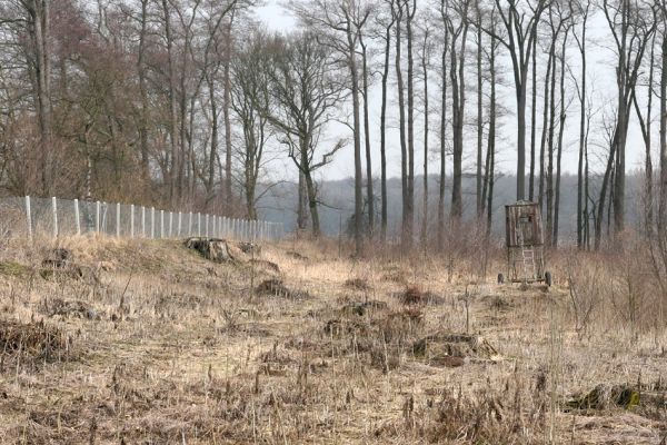 Chlumecká bažantnice, 3.3.2009
Fotoreportáž z likvidace lužního lesa a staré dubové aleje na hrázi podél Cidliny a Mlýnské Bystřice (2008-2009). 
Klíčová slova: Chlumec nad Cidlinou Chlumecká bažantnice Luhy