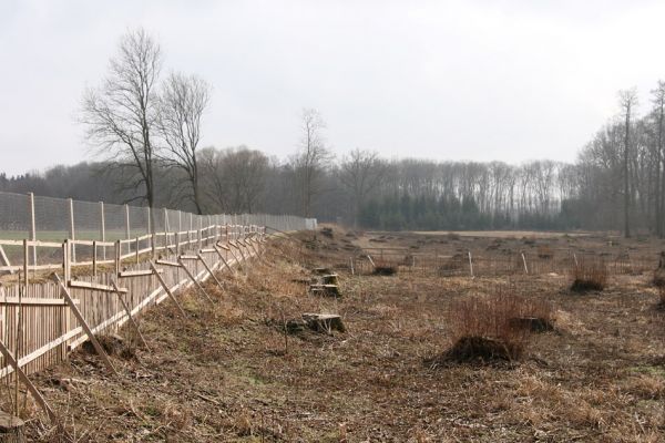 Chlumecká bažantnice, 3.3.2009
Fotoreportáž z likvidace lužního lesa a staré dubové aleje na hrázi podél Cidliny a Mlýnské Bystřice (2008-2009). Co jste to provedli zemi české, vy, potomci šlechty české ...
Mots-clés: Chlumec nad Cidlinou Chlumecká bažantnice Luhy