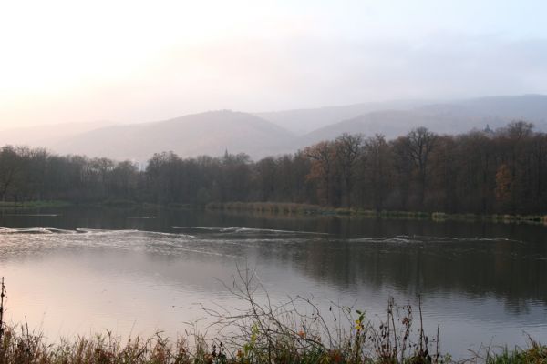 Chlumec u Chabařovic, 11.11.2011
Lužní les u Zámeckého rybníka.
Mots-clés: Krušné hory Chlumec u Chabařovic Zámecký rybník