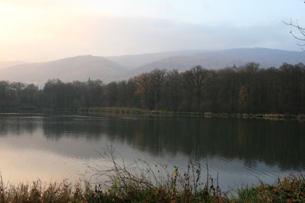 Chlumec u Chabařovic, 11.11.2011
Lužní les u Zámeckého rybníka.
Klíčová slova: Krušné hory Chlumec u Chabařovic Zámecký rybník