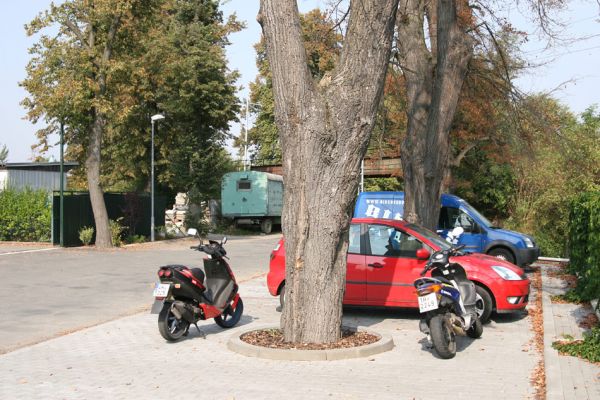 Chlumec nad Cidlinou, 22.9.2009
Začátek lipové aleje k Chlumecké bažantnici. Osluněné kmeny vyhledávají ke svému vývoji krasci lipoví
Mots-clés: Chlumec nad Cidlinou Lamprodila rutilans