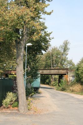 Chlumec nad Cidlinou, 22.9.2009
Začátek lipové aleje k Chlumecké bažantnici. Osluněné kmeny vyhledávají ke svému vývoji krasci lipoví
Klíčová slova: Chlumec nad Cidlinou Lamprodila rutilans