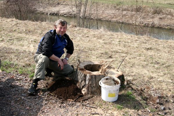 Chlumec nad Cidlinou, 28.3.2011
Reportáž z likvidace biotopů chráněných brouků - lip v lipové aleji u Cidliny.
Schlüsselwörter: Chlumec nad Cidlinou Kubík saproxylofágní holokaust páchník Osmoderma barnabita Protaetia lugubris Protaetia aeruginosa Elater ferrugineus Crepidophorus mutilatus